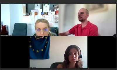 Final Online Meeting